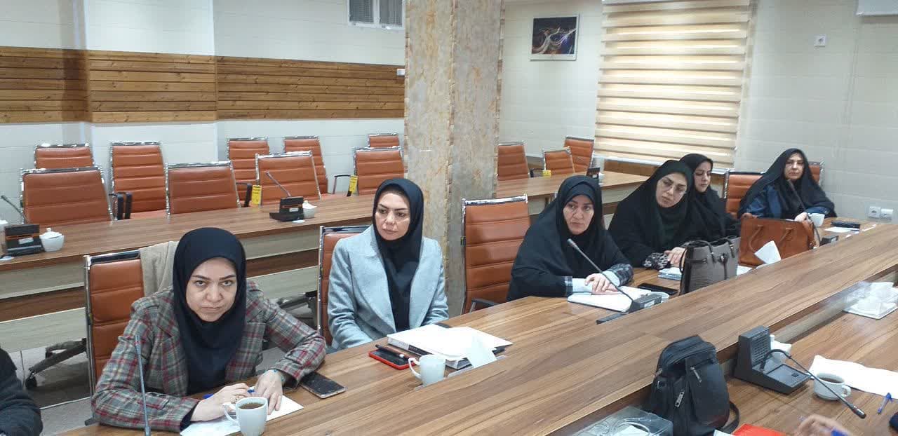 جلسه نظارت عالیه بر پروژه های روستایی برگزار شد