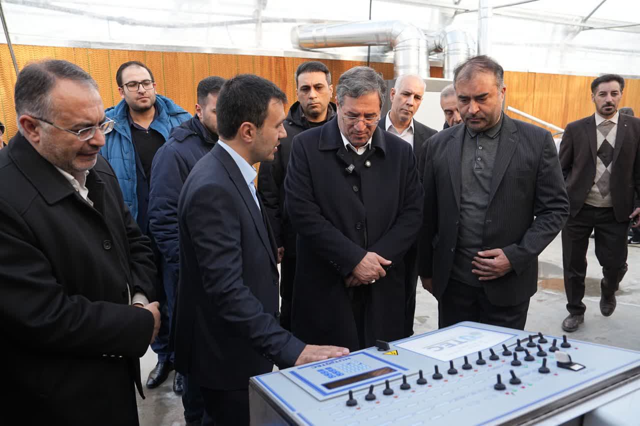 با حضور استاندار آذربایجان‌غربی انجام شد؛ بهره‌برداری از گلخانه هیدروپونیک توت‌فرنگی در ارومیه