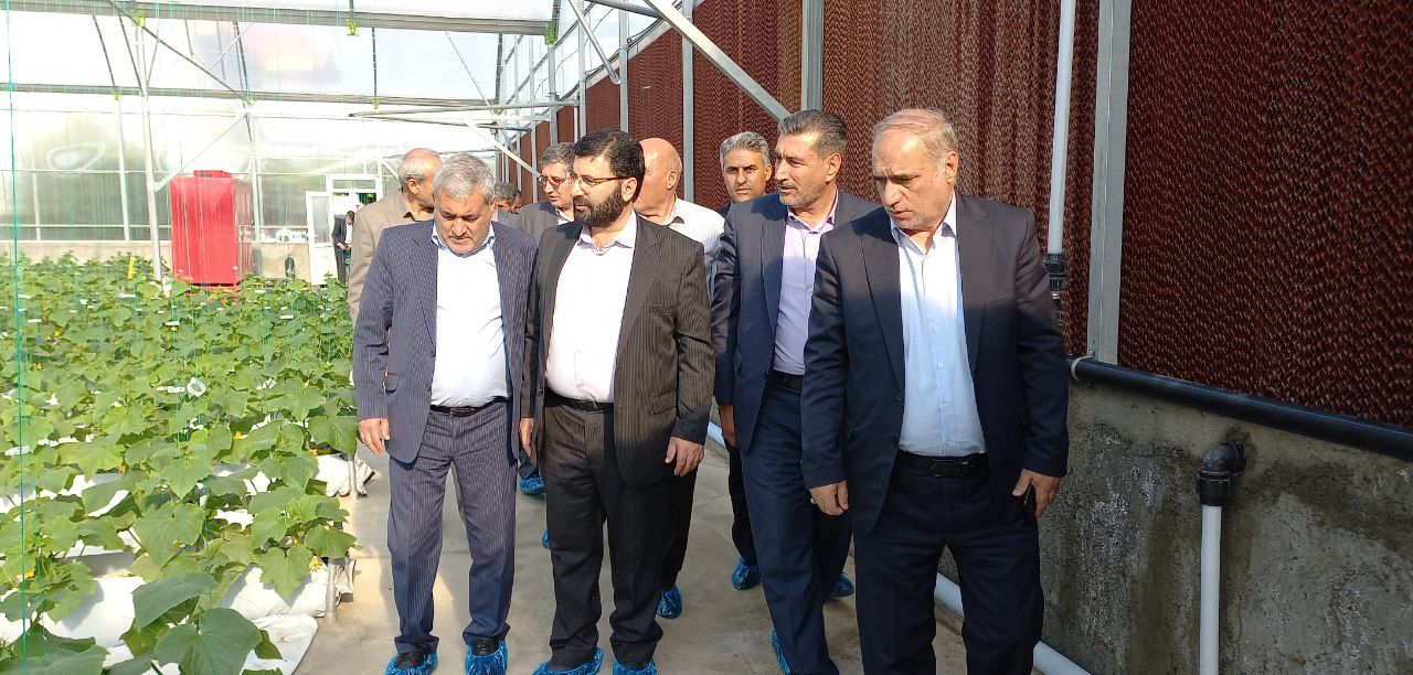 افتتاح گلخانه هیدورپونیک خیار در ارومیه با حضور معاون هماهنگی امور اقتصادی استاندار و فرماندار شهرستان ارومیه
