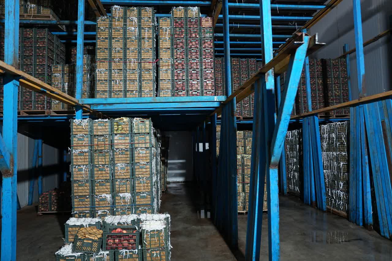 با حضور استاندار آذربایجان‌غربی انجام شد؛ افتتاح سردخانه 2 هزار تنی ذخیره‌سازی میوه در ارومیه