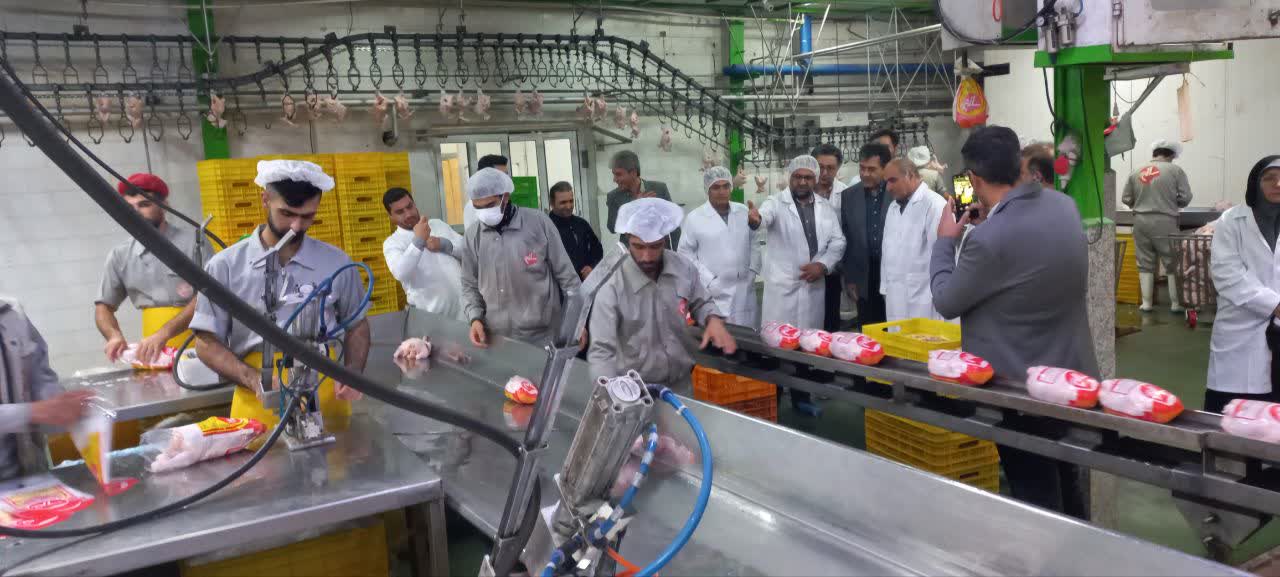 بازدید شبانه فرماندار شهرستان ارومیه با همراهی جمعی از روسای ادارات و دستگاههای متولی، از کشتارگاه طیور غرب ارومیه