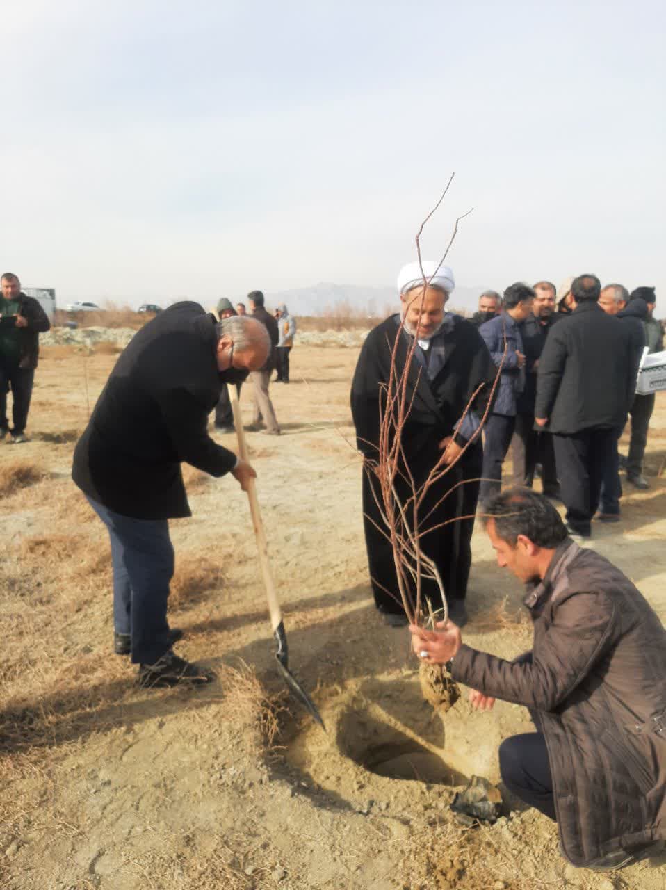 حضور دکتر عماری فرماندار شهرستان در پویش درختکاری«در سایه مادر»
