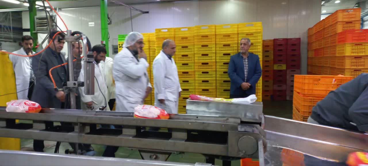 بازدید شبانه فرماندار شهرستان ارومیه با همراهی جمعی از روسای ادارات و دستگاههای متولی، از کشتارگاه طیور غرب ارومیه