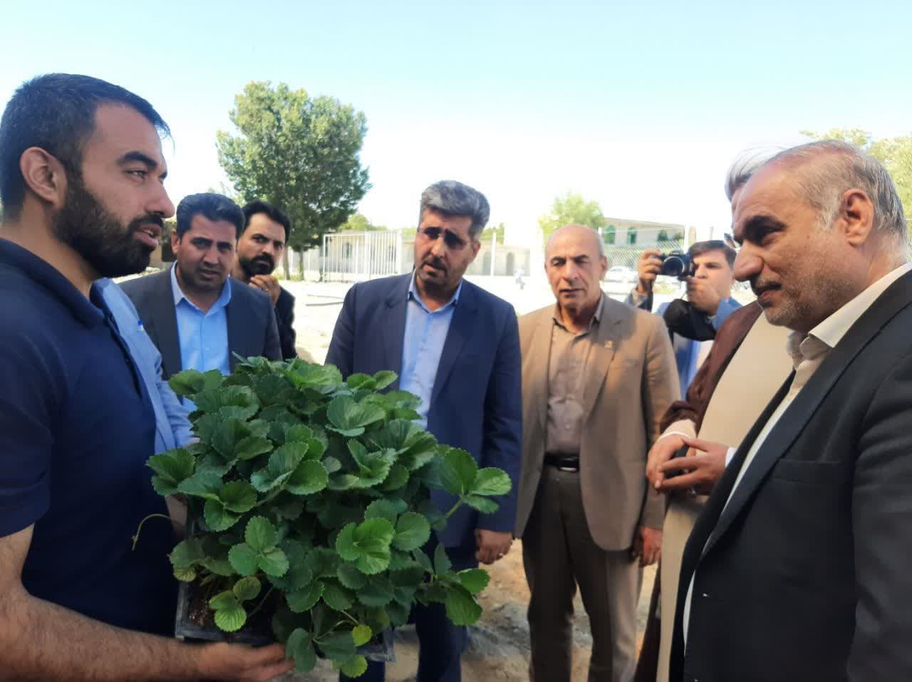 در گرامیداشت روز وقف