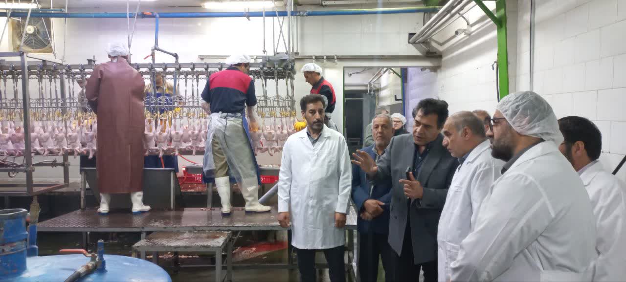 بازدید شبانه فرماندار شهرستان ارومیه با همراهی جمعی از روسای ادارات و دستگاههای متولی، از کشتارگاه طیور غرب ارومیه
