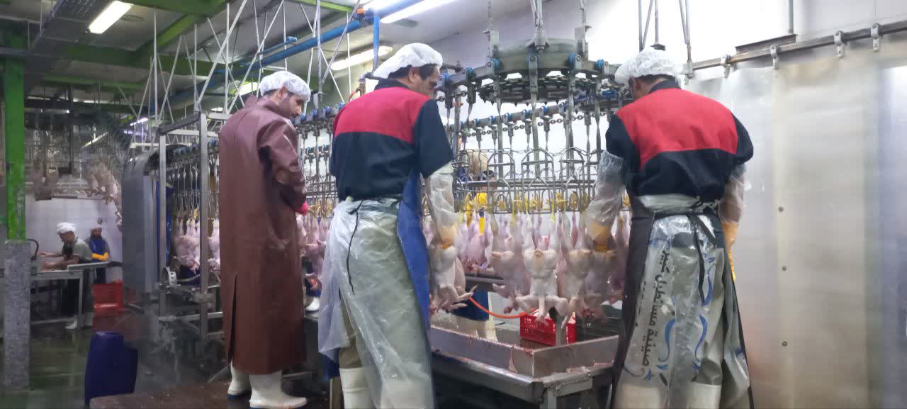 بازدید شبانه فرماندار شهرستان ارومیه با همراهی جمعی از روسای ادارات و دستگاههای متولی، از کشتارگاه طیور غرب ارومیه