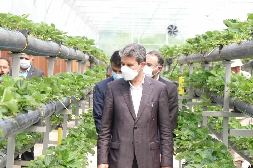 حضور استاندار آذربایجان غربی و فرماندار ارومیه در بخش صومای برادوست + تصاویر