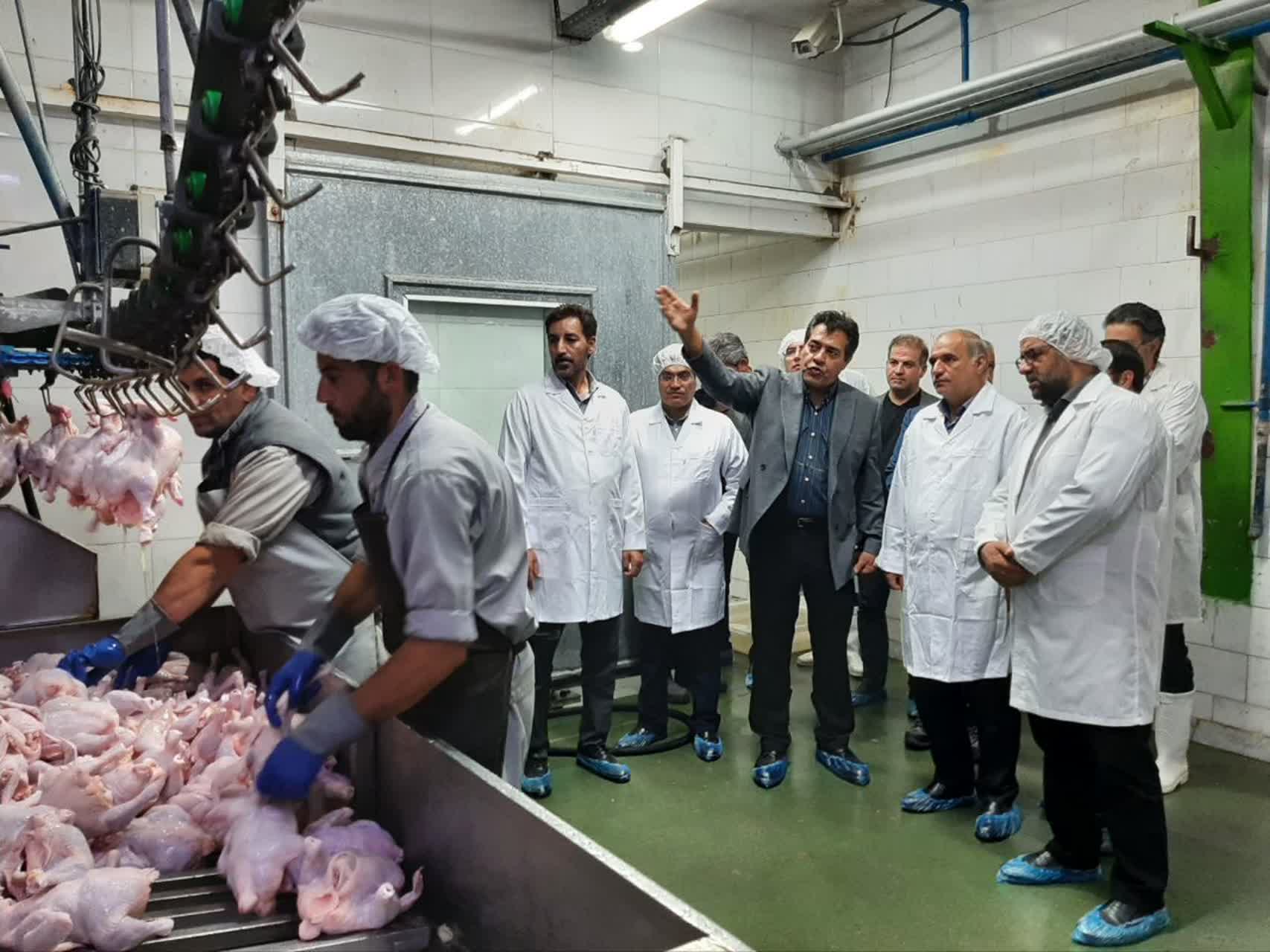 بازدید شبانه فرماندار شهرستان ارومیه با همراهی جمعی از روسای ادارات و دستگاههای متولی، از کشتارگاه طیور غرب ارومیه