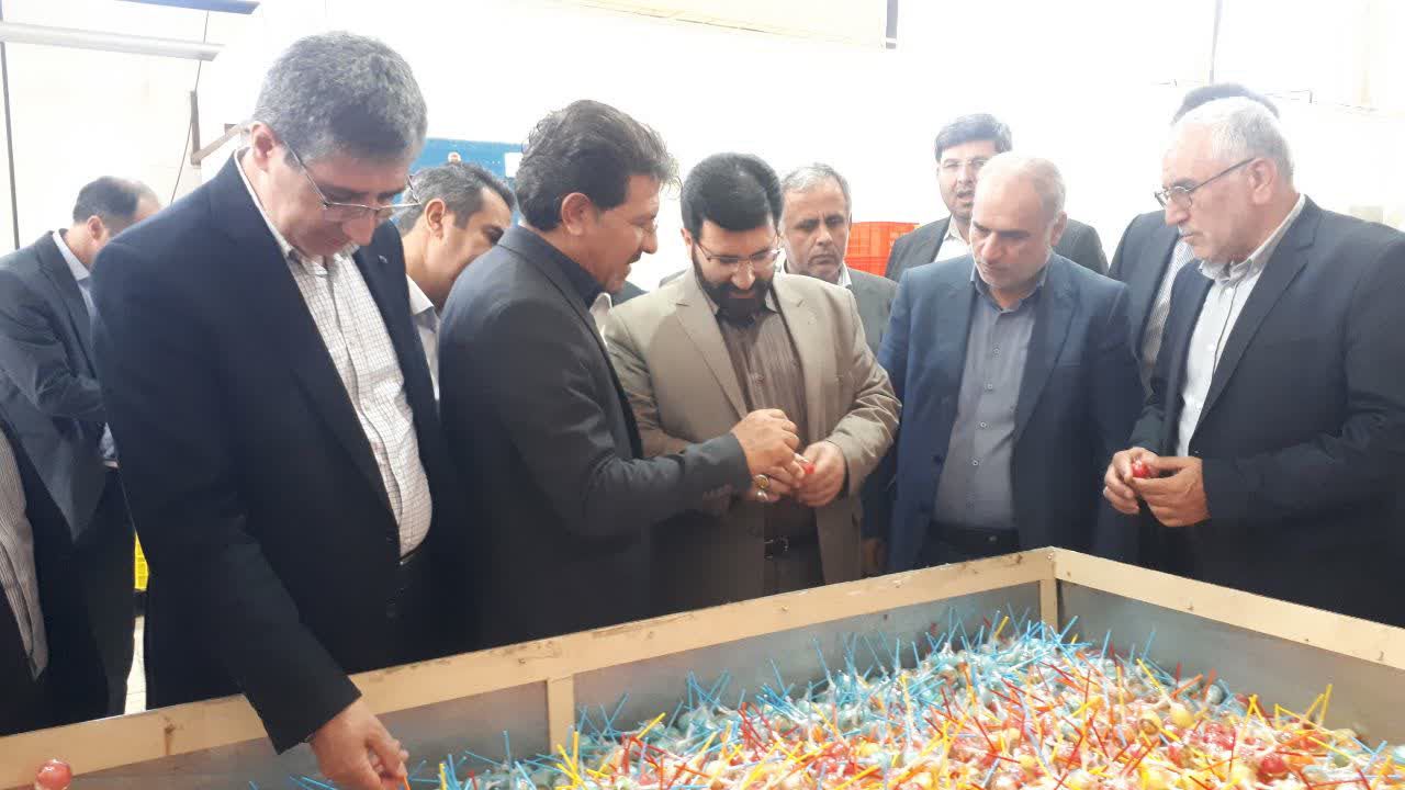 بازدید معاون هماهنگی امور اقتصادی استاندار آذربایجان غربی و فرماندار شهرستان ارومیه از دو شرکت تولیدی و صنعتی در ارومیه