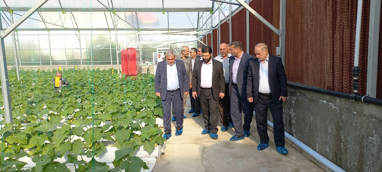 افتتاح گلخانه هیدورپونیک خیار در ارومیه با حضور معاون هماهنگی امور اقتصادی استاندار و فرماندار شهرستان ارومیه