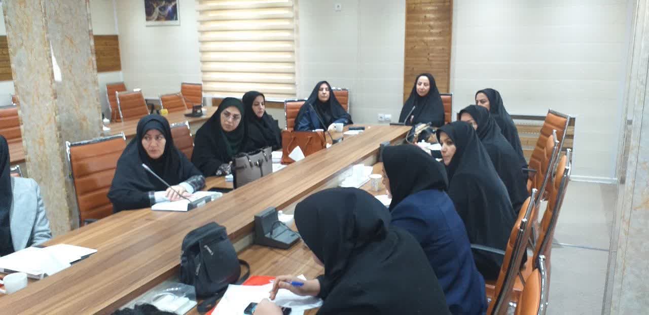 جلسه نظارت عالیه بر پروژه های روستایی برگزار شد
