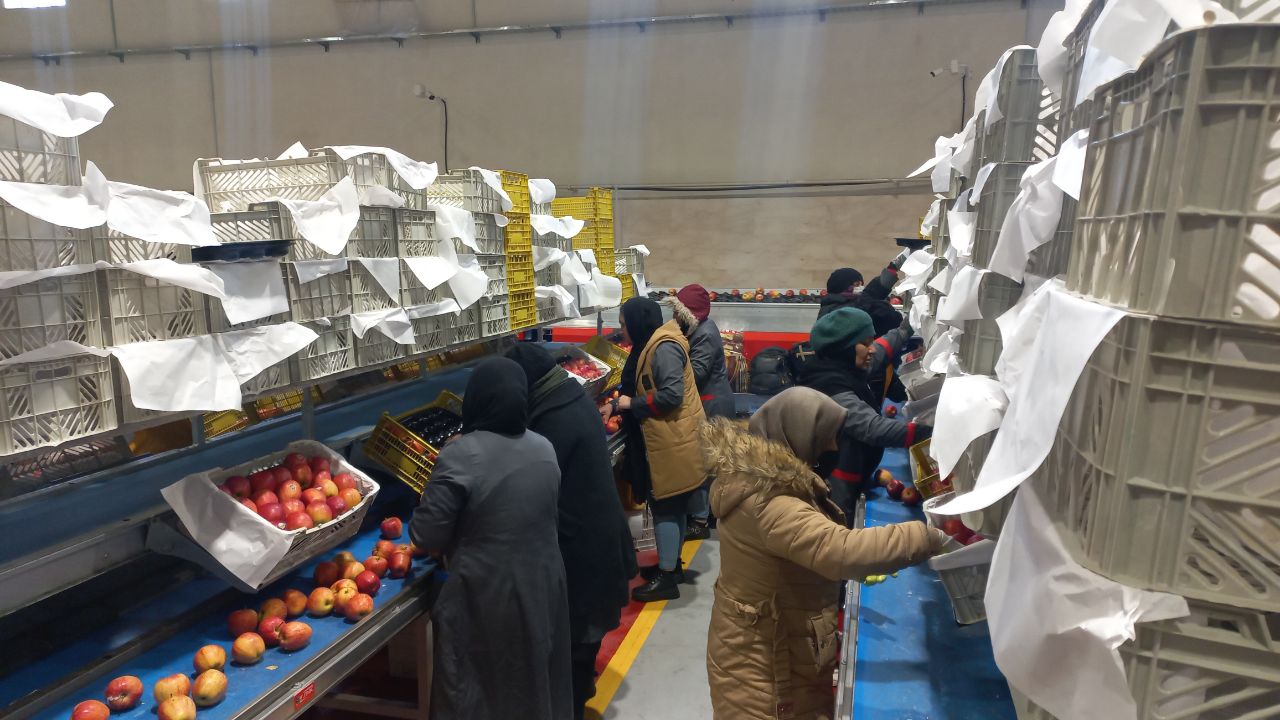 بهره برداری از 86 پروژه در بخش کشاورزی استان با حضور استاندار آذربایجانغربی