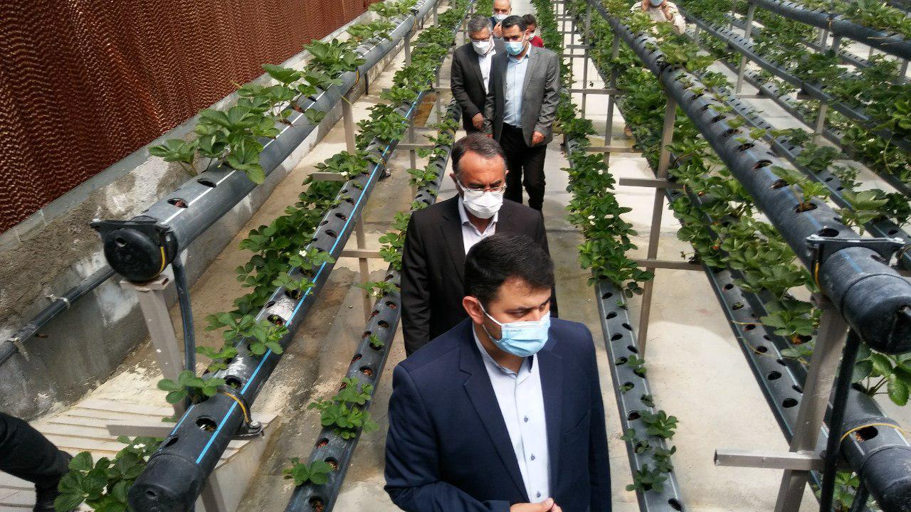 حضور استاندار آذربایجان غربی و فرماندار ارومیه در بخش صومای برادوست + تصاویر